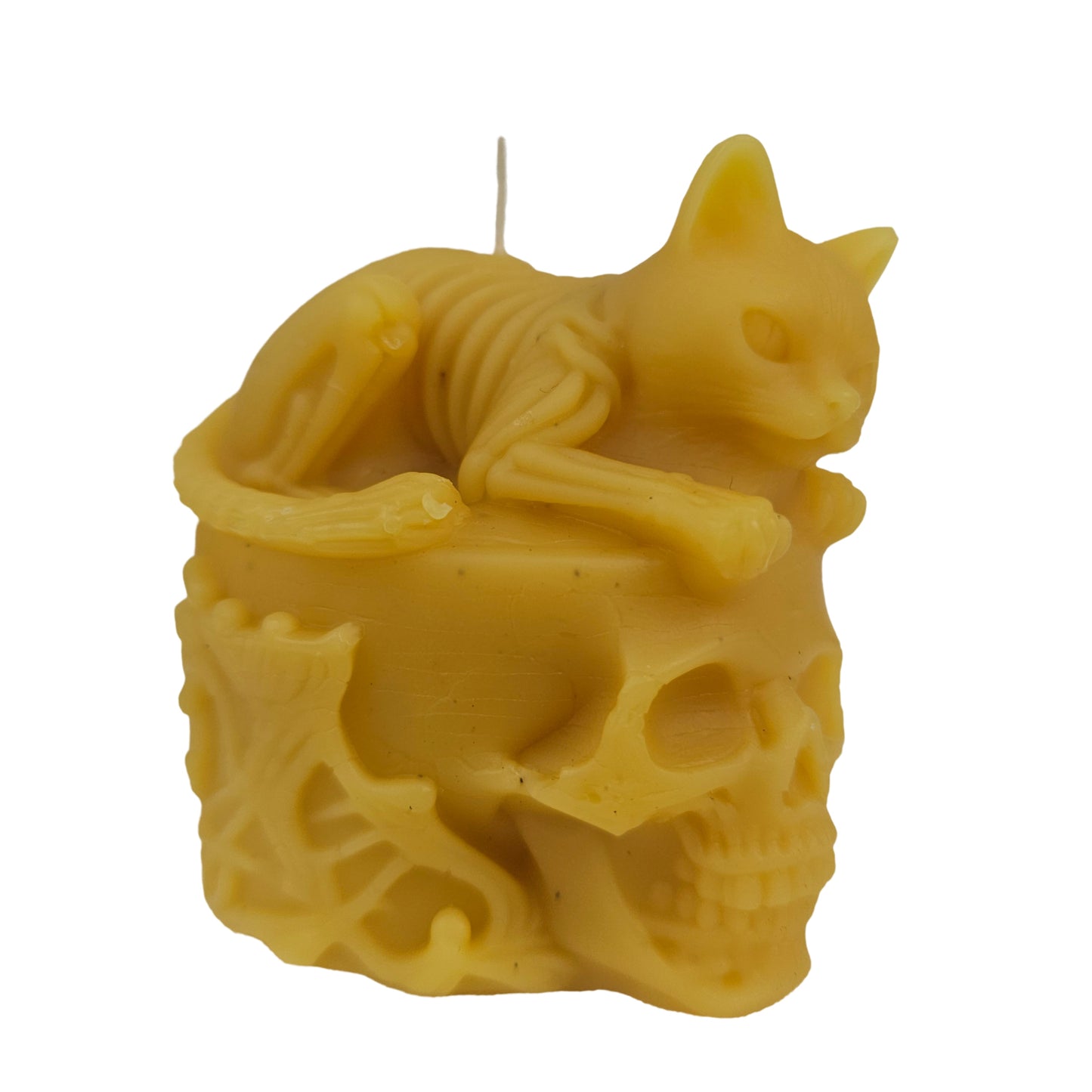 Cat on a Skull 2.5"