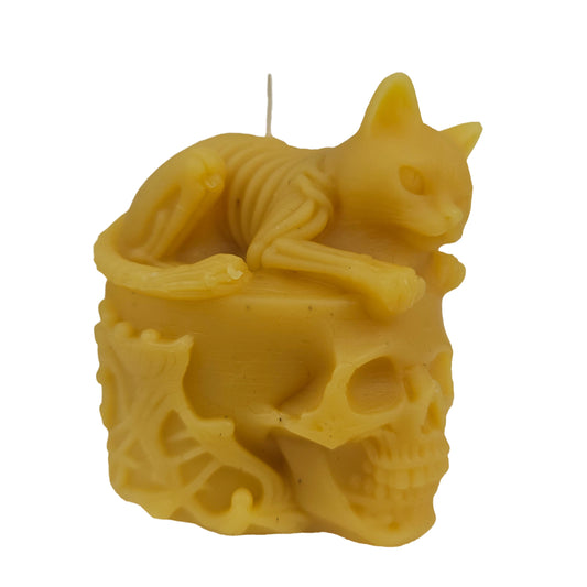 Cat on a Skull 2.5"